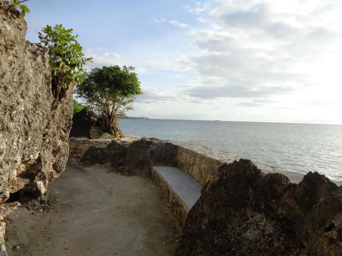 Hotel Sea Turtle House Moalboal Exterior foto